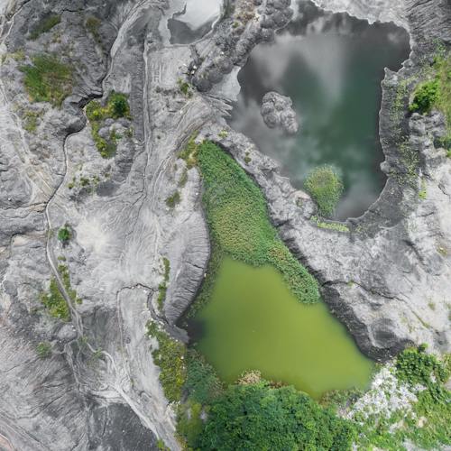 Nec at mi tempus tellus tortor