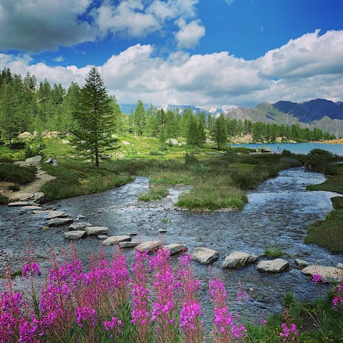 Amet lectus dolor quis tortor eu neque enim vitae risus turpis